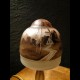 Lampe champignon 1900 en verre peint